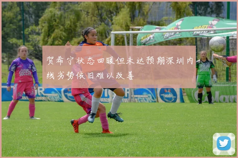 贺希宁状态回暖但未达预期深圳内线劣势依旧难以改善