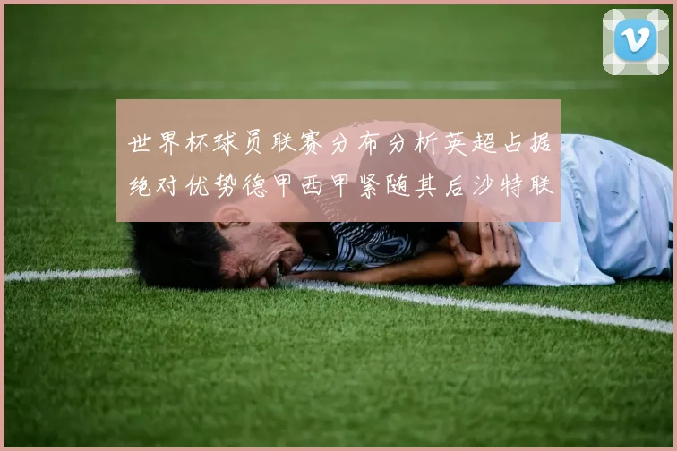 世界杯球员联赛分布分析英超占据绝对优势德甲西甲紧随其后沙特联排名第六