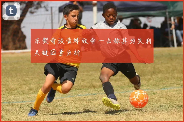 东契奇谈黄蜂致命一击称其为失利关键因素分析